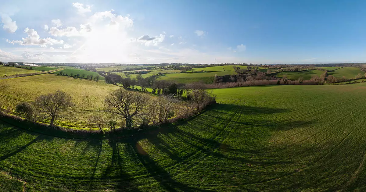 Campagne Angevine