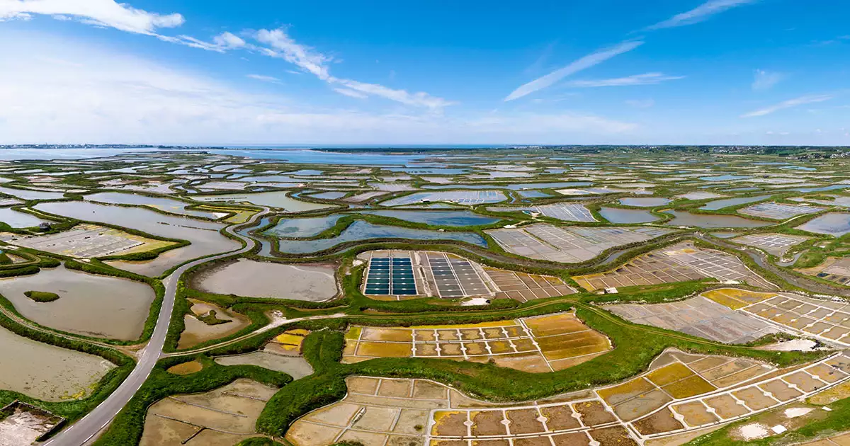 Marais salants de Guérande