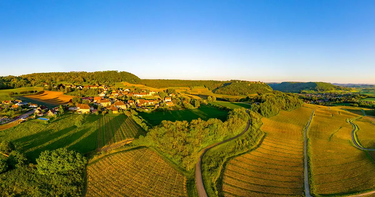 Menétru le vignoble